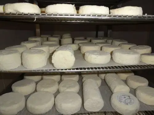 La Ferme de la Hourque