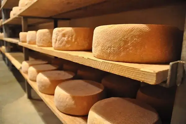Ferme du carregaout